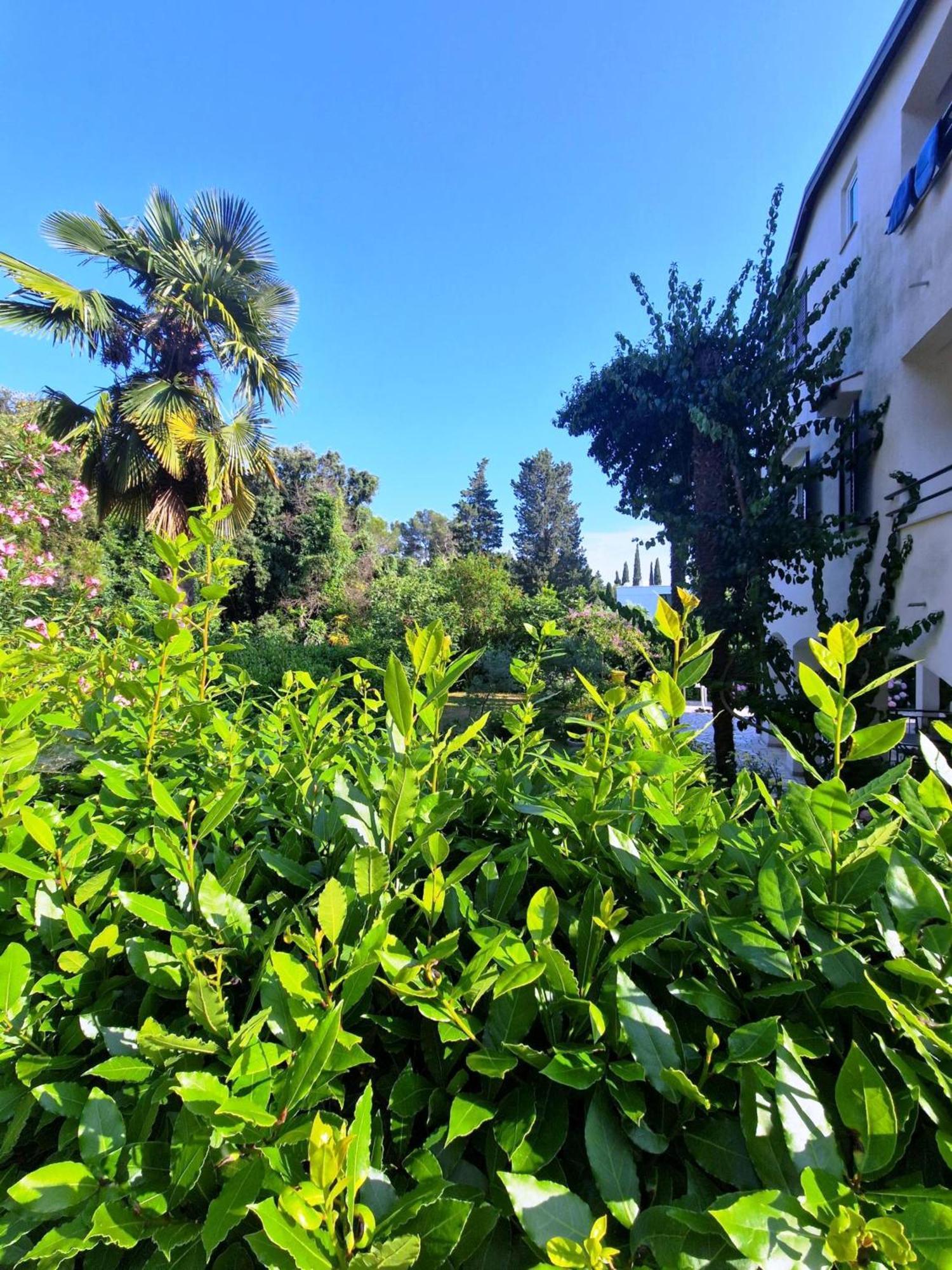 Molo View Apartment Rovinj Ngoại thất bức ảnh