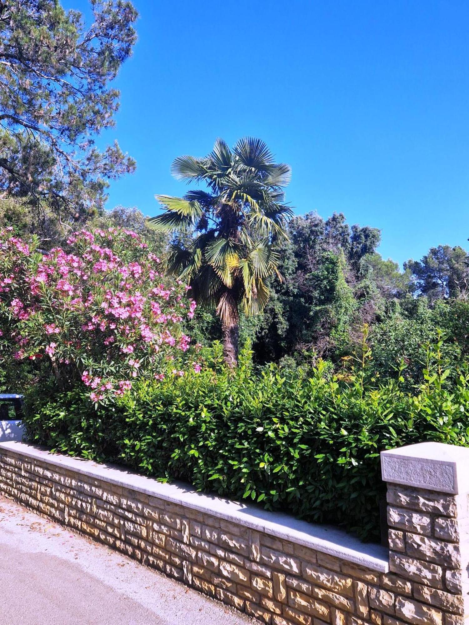 Molo View Apartment Rovinj Ngoại thất bức ảnh
